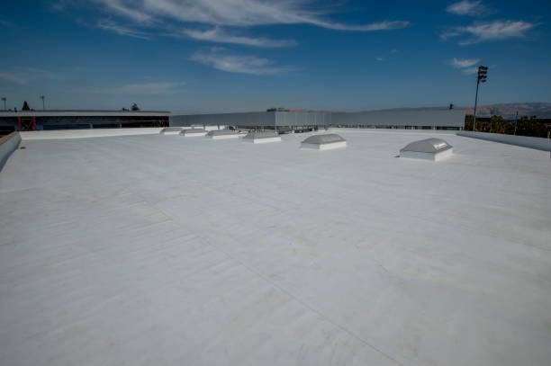 Best Sheet Metal Roofing  in Centuria, WI