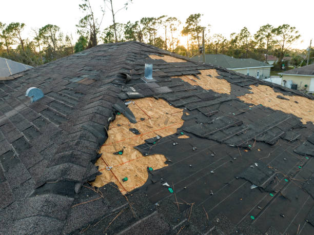 Best Roof Coating and Sealing  in Centuria, WI