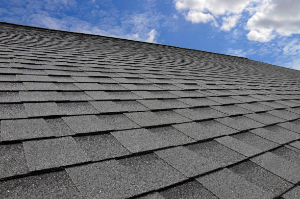 Best Asphalt Shingle Roofing  in Centuria, WI