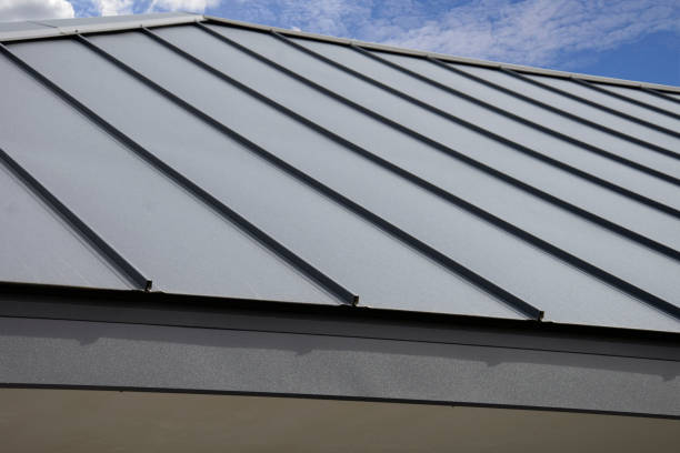 Best Roof Leak Repair  in Centuria, WI
