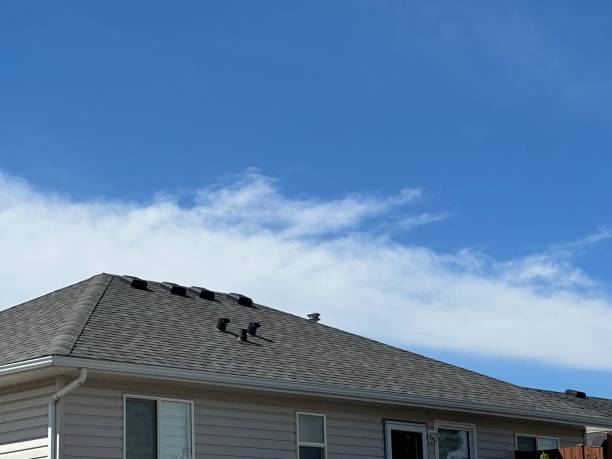 Best Gutter Installation and Repair  in Centuria, WI